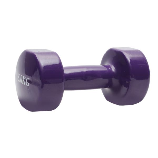 Sports INC Dumbbell – 5 KG